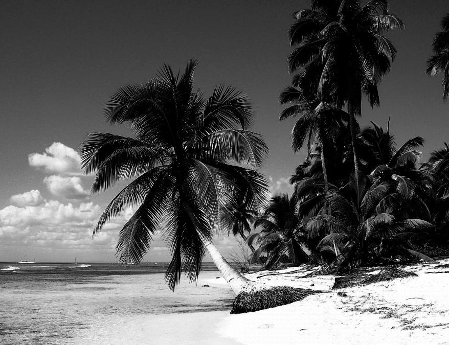 Martinique.jpg