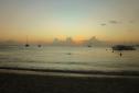 Courbaril - Sunset, Martinique