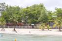 Courbaril - Beach, Martinique