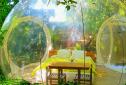 Maison d'hôtes le domaine des bulles lune de miel Martinique (12).jpg